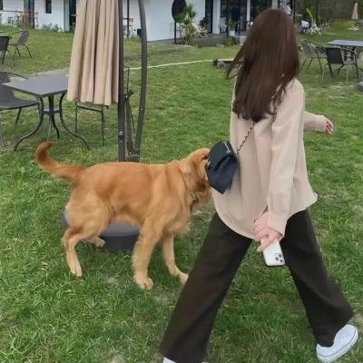 爱的针锋相对